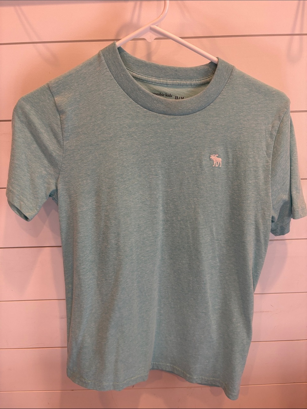 Abercrombie & Fitch Kids Light Teal Crewneck T-Shirt